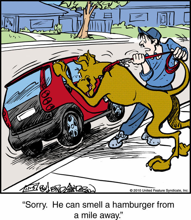 marmaduke